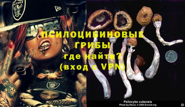а пвп мука Медвежьегорск