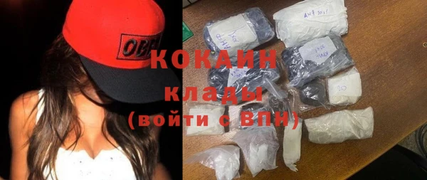 шишки Магас